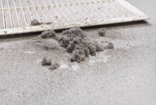Best Best Air Duct Cleaning Company  in Gridley, IL