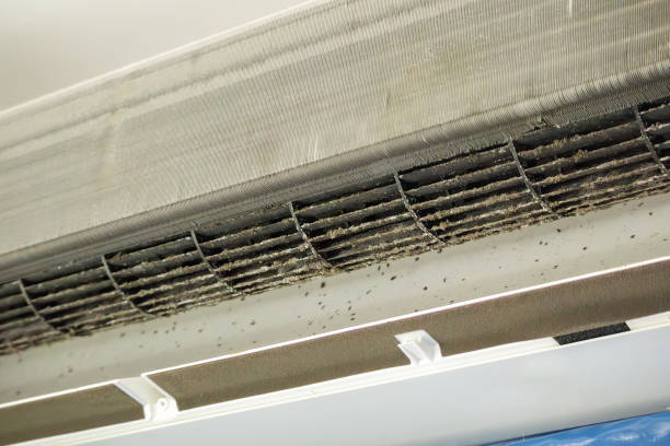Best Ductwork Cleaning Services  in Gridley, IL